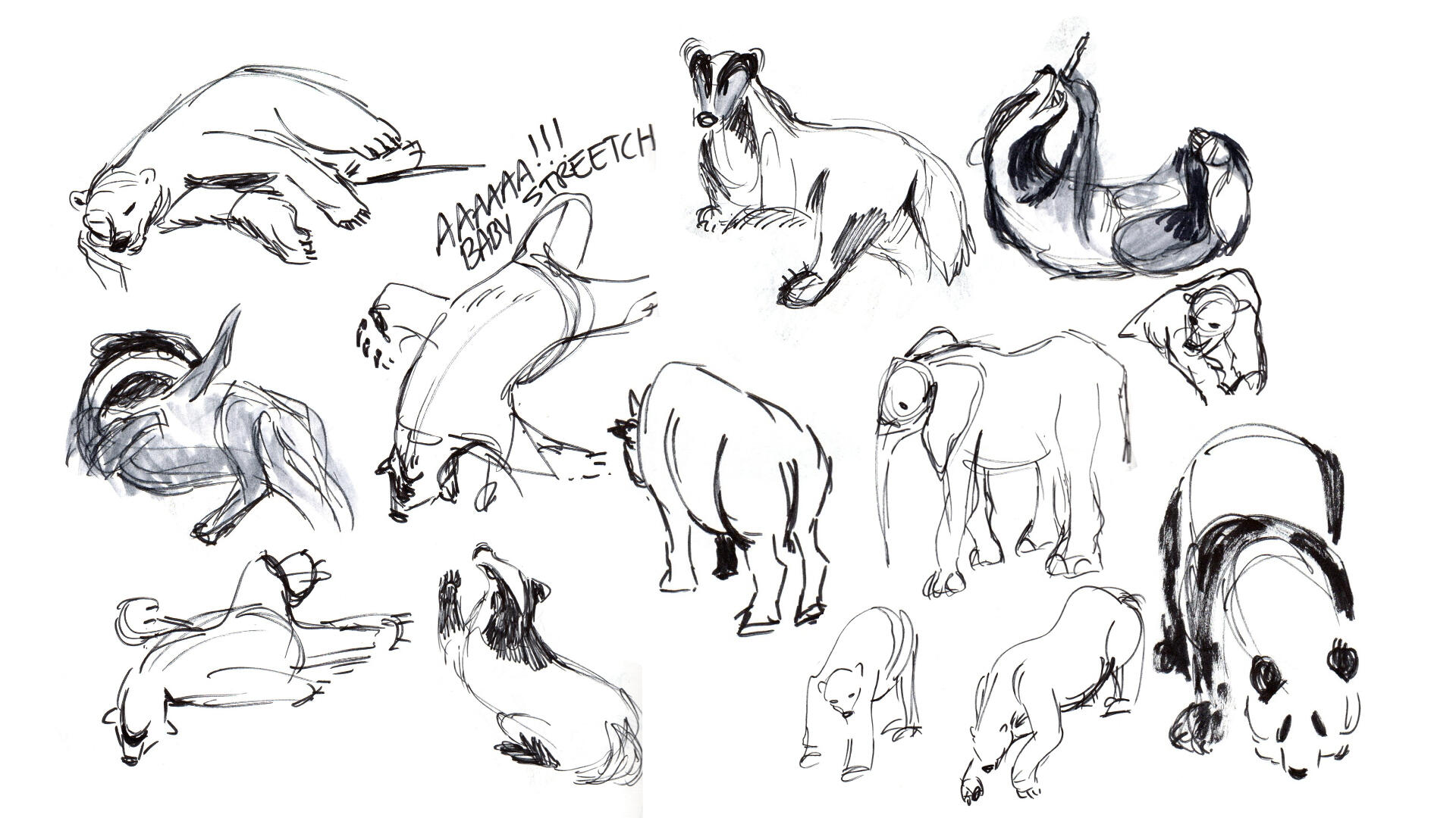 Zoo Gestures Zoo Gestures
